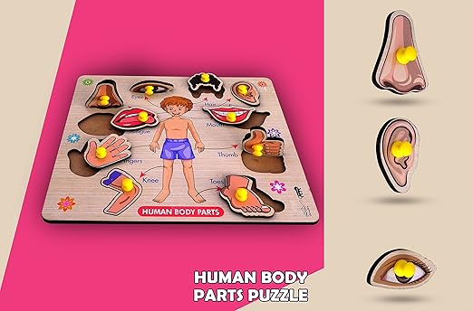 Body Parts Puzzle
