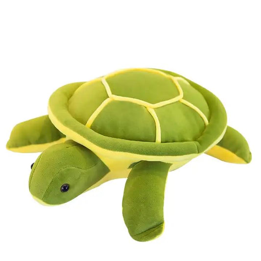 Soft Toy | Tortoise |