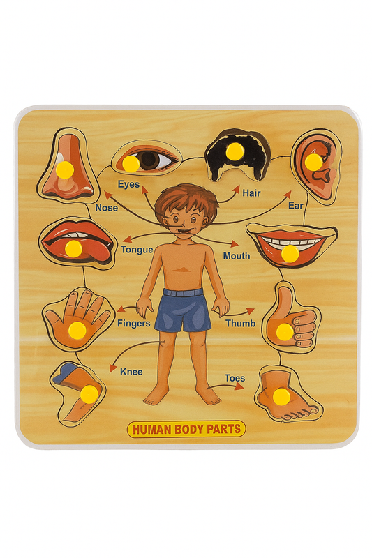 Body Parts Puzzle