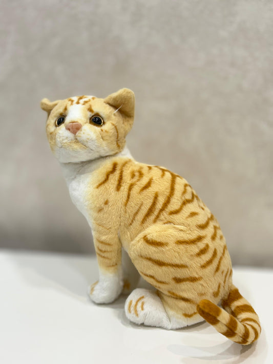 Soft Toy | Adorable Cat | 30cm